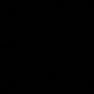 Meet your Posher, Malik